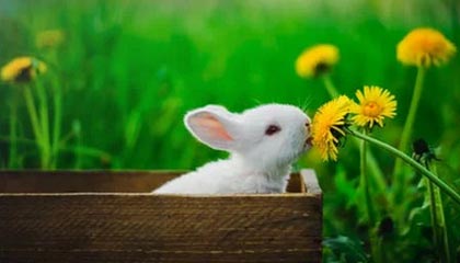 开云体育官方入口-中国足球职业联赛完善赛事突发状况应对机制，中国足球职业联赛正式开始