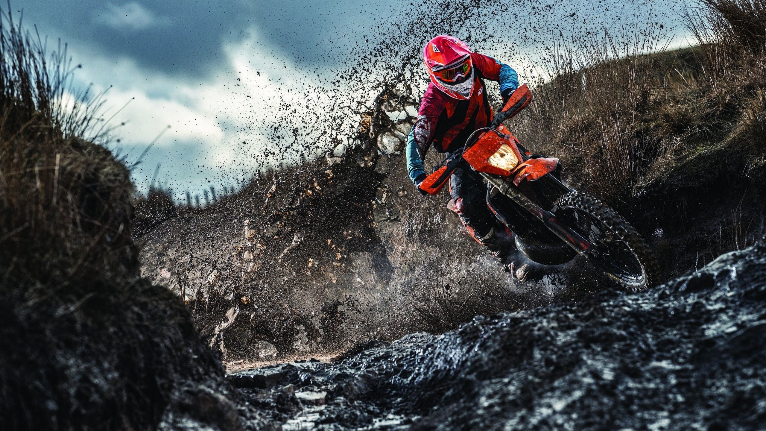 5连胜黑马狂奔！活塞125-107篮网，NBA最新排名出炉，篮网活塞比分