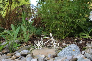 Kaiyun官方登录入口-球队伤病恢复情况追踪，球员伤病情况